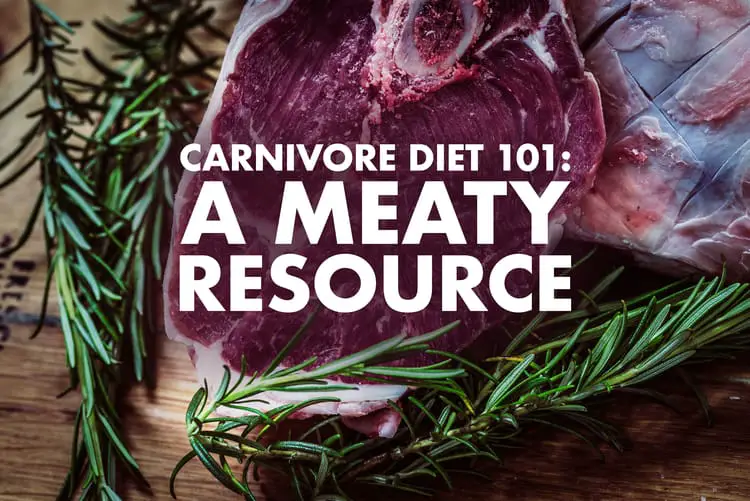 Carnivore Diet 101