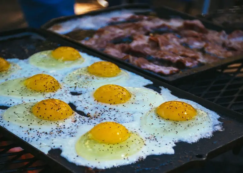 How to meal prep for the carnivore diet wild lumens