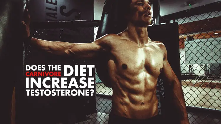 Does Carnivore Diet Increase Testosterone