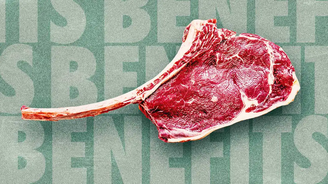 11 Benefits of the Carnivore Diet