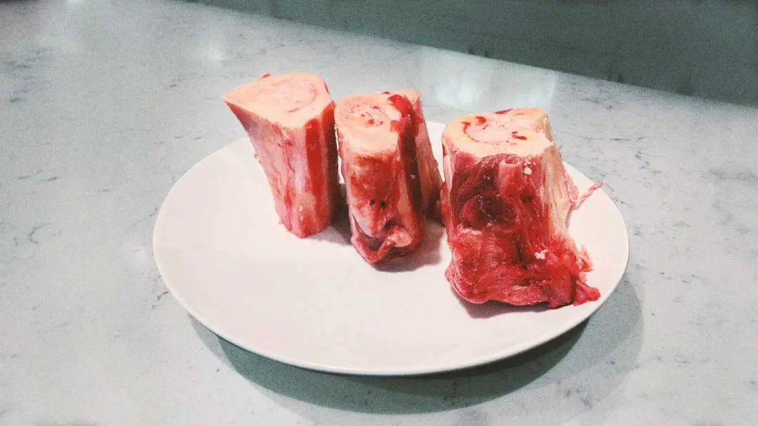 Bone Marrow on the Carnivore Diet|Pros and Cons