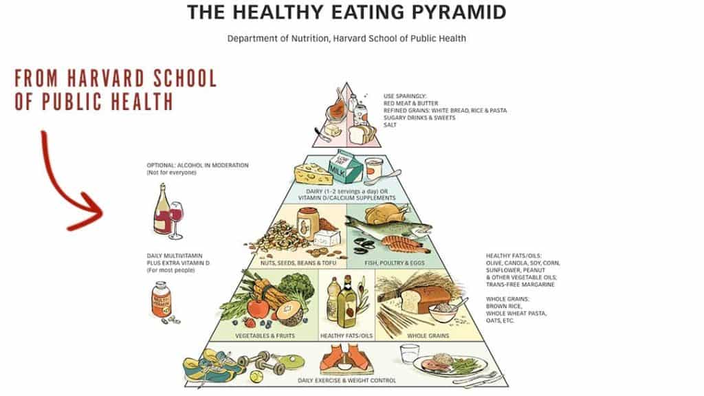 Carnivore Diet Food Pyramid